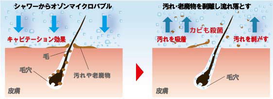 オゾンシャワーのメカニズム